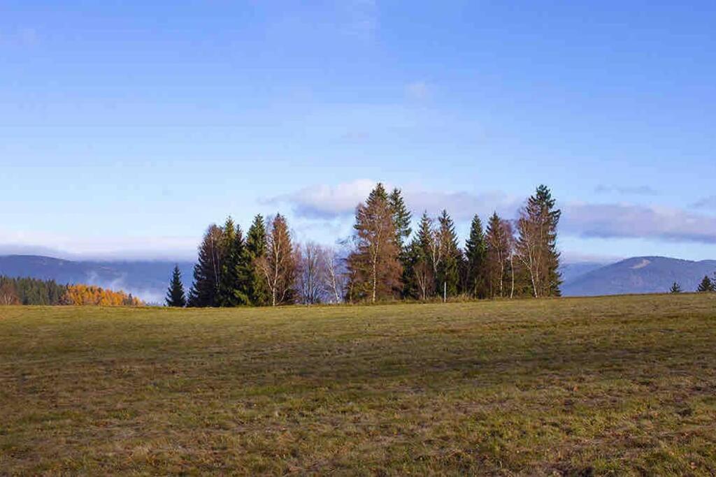 Kořenov 10 chalupa na horách Exteriér fotografie